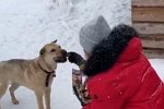 Екатерина Скалон: Самые преданные друзья, лекари душ!