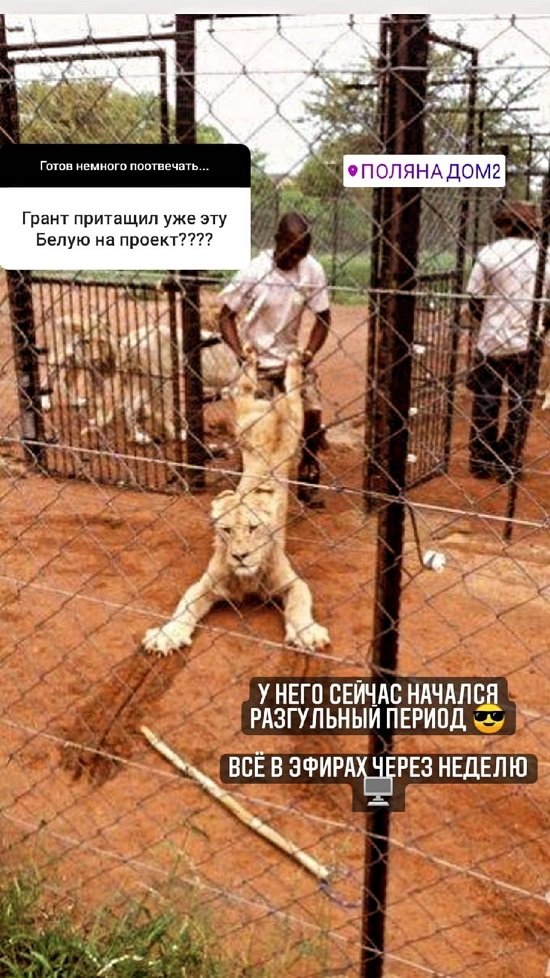 Алекс Ход: Таких, как я, быстро выгоняют...