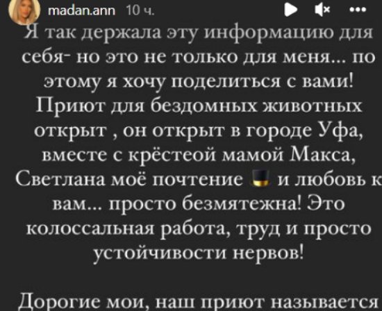 Анна Мадан исполнила свою мечту, открыв приют для собак