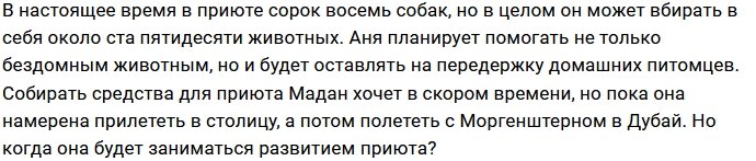 Анна Мадан исполнила свою мечту, открыв приют для собак