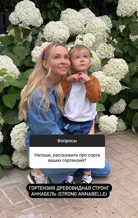 Наталья Варвина: Я пеку только для родных
