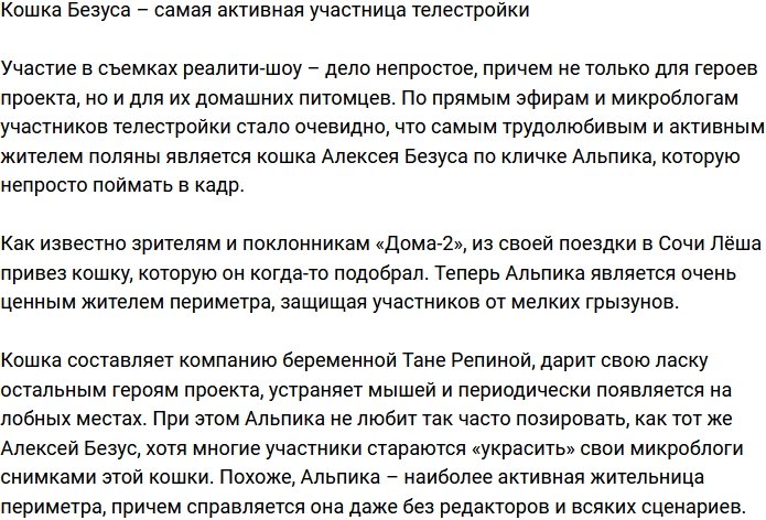 Кошка Безуса оказалась самой работоспособной жительницей проекта