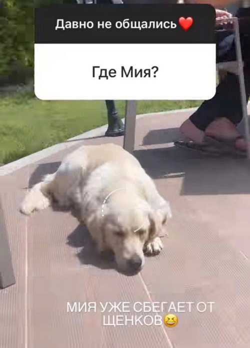Маргарита Марсо: Турецкий у меня на уровне А2