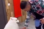 Новости на 9.05.2022 от Кота Баюна