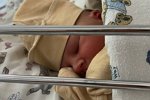 Анита Кобелева: Прячьте своих детей!