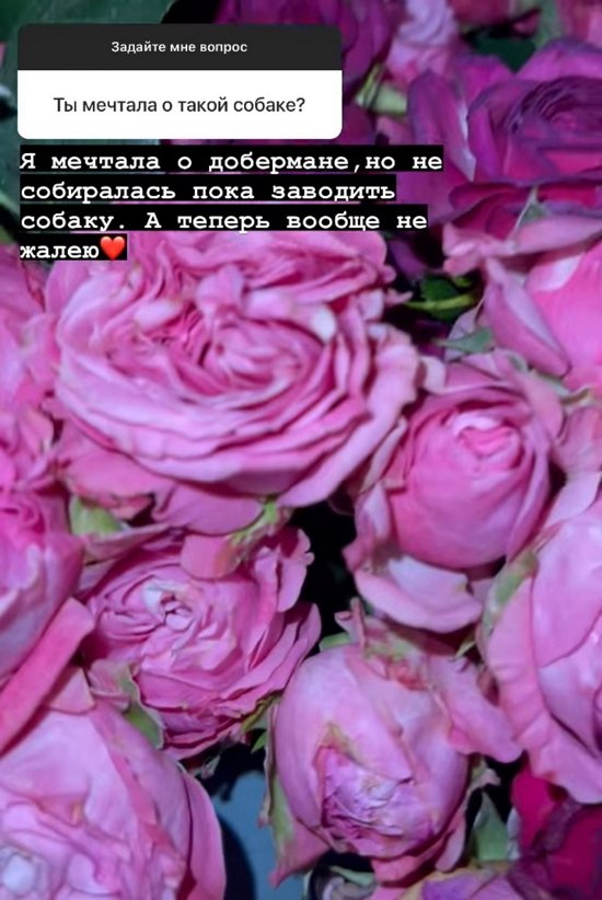 Алёна Опенченко: Не дождетесь!