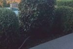 Ксения Бородина: Поеду в начале июня смотреть объекты