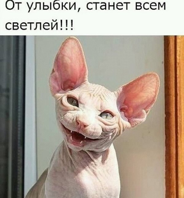 Зрительский обзор последних событий (7.06.2022) Зрительский обзор последних событий (7.06.2022)