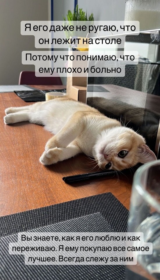 Милена Безбородова: Я просто устала...