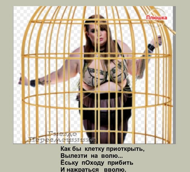 Приколы про Дом-2 (15.06.2022)