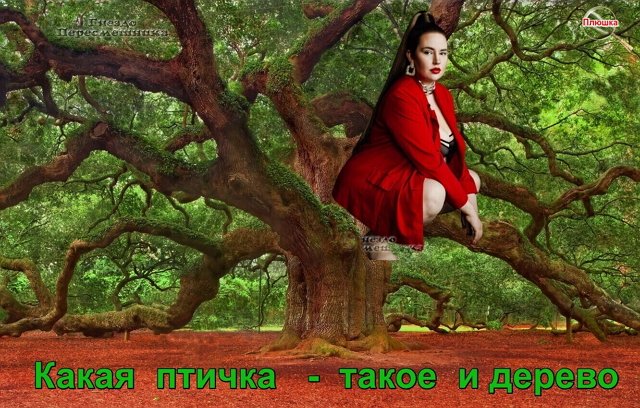 Приколы про Дом-2 (28.06.2022)