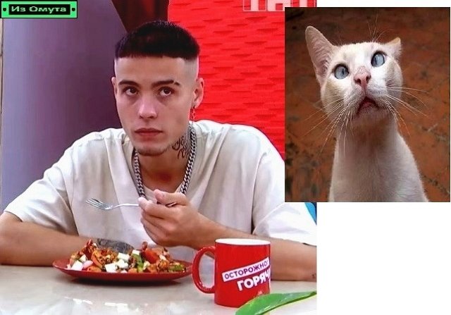 Приколы про Дом-2 (4.08.2022)