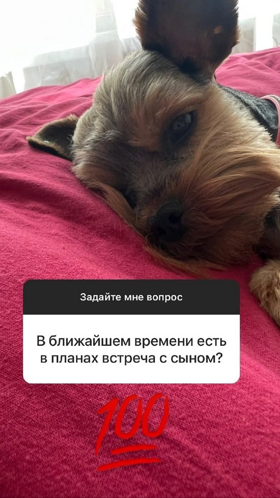 Никита Уманский: Давно его не видел...