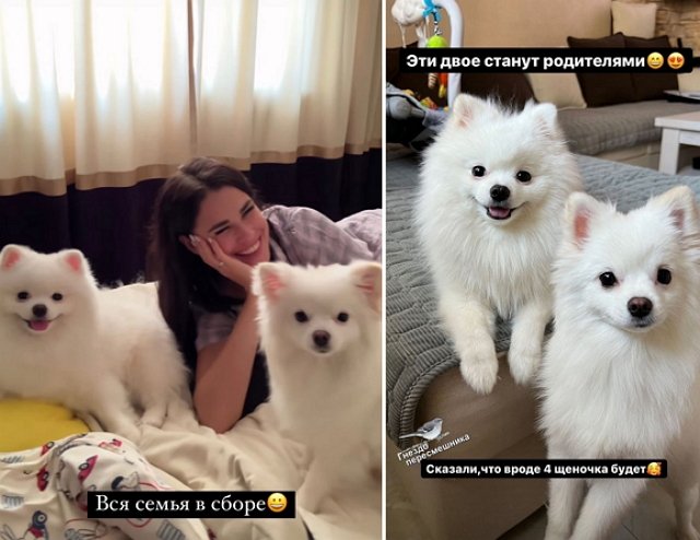 Супруги Чобанян ждут пополнения семьи