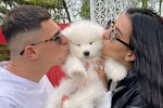 Новости на 20.08.2022 от Кота Баюна
