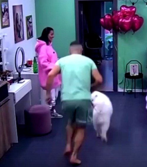 Зрительский обзор последних событий (11.10.2022)