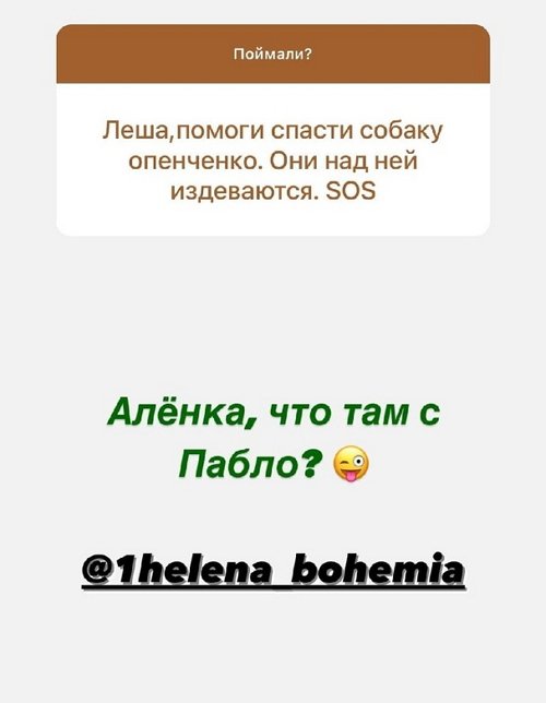 Алексей Адеев: Вы вообще с мозгами?!