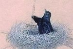 Зрительский обзор последних событий (22.10.2022)