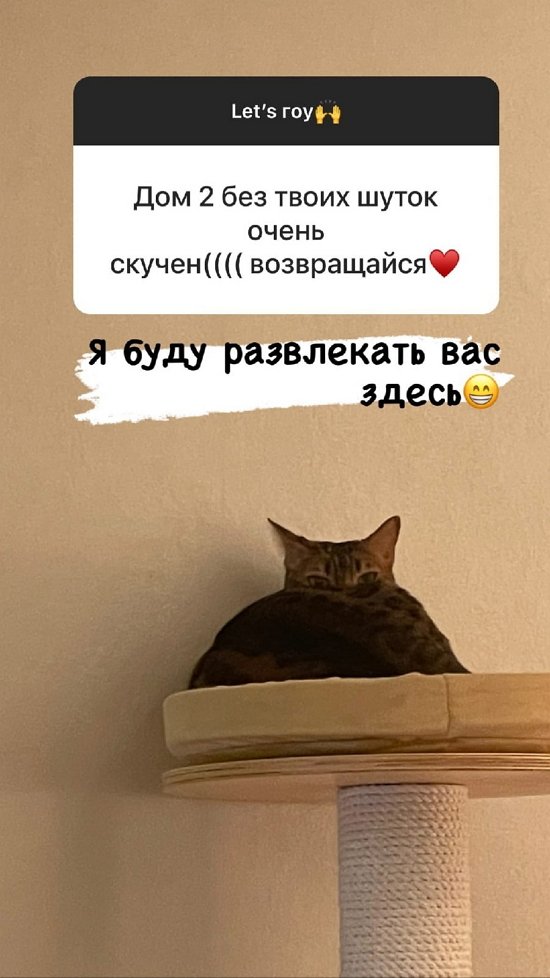 Анна Самонина: Сейчас точно не вернусь