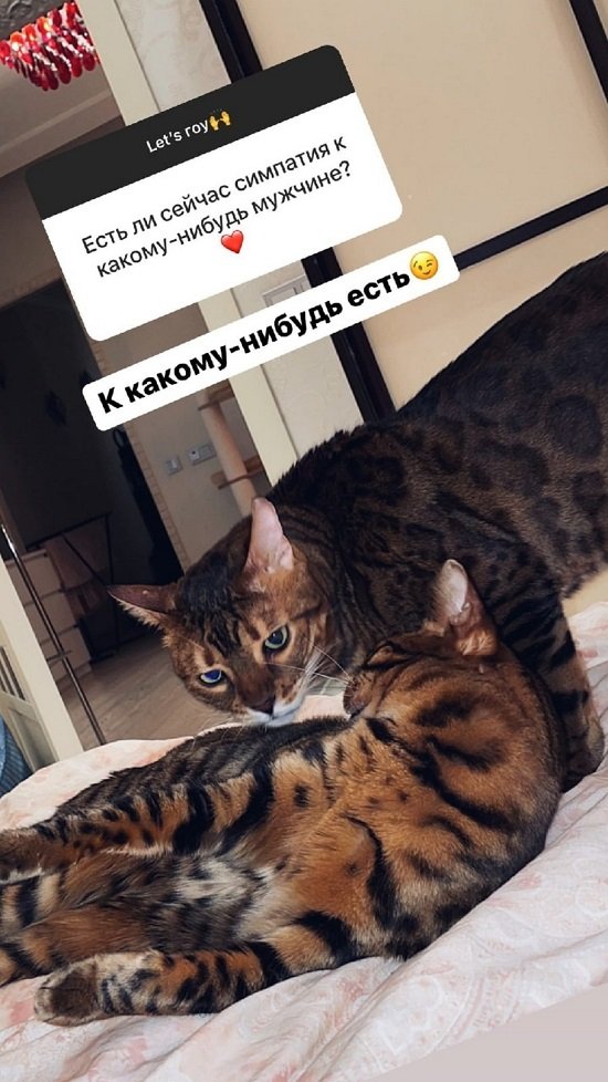 Анна Самонина: Сейчас точно не вернусь