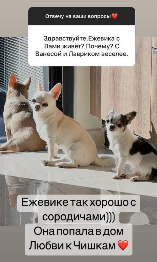 Ирина Агибалова: Если бы мы могли знать...