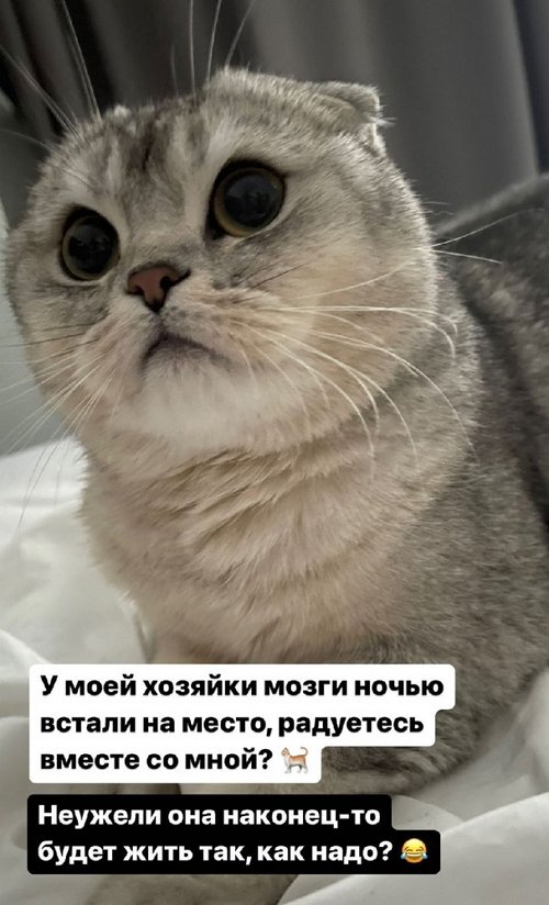 Александра Черно: Идём медленными, но уверенными шагами