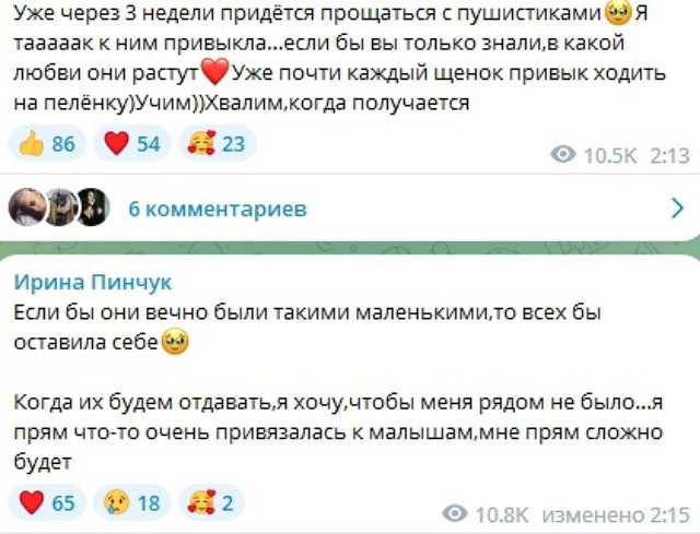 Ирина Пинчук: Вы думаете, это для меня нереальные деньги?