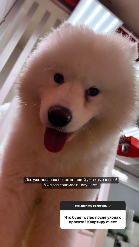 Кристина Бухынбалтэ: Он уже не такой, как раньше!