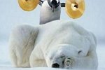 Зрительский обзор последних событий (12.12.2022)