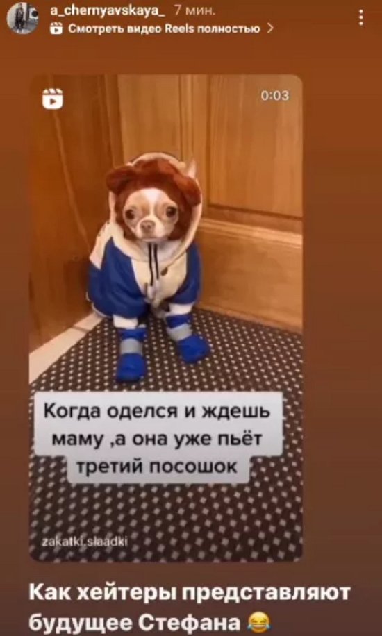 Черно сравнила Стефана с собакой, чем навлекла на себя волну хейта 