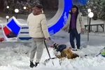 Анонс эфира 17.12.2022