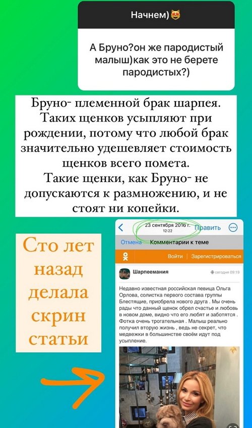 Ольга Орлова: Как можете так себя не уважать?!