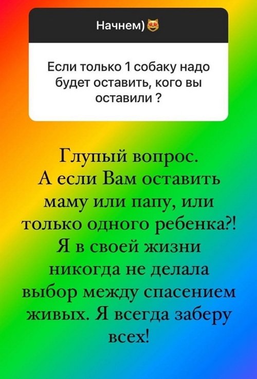 Ольга Орлова: Жаль, что нельзя купить накладные мозги!