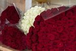 Милена Безбородова перестала скрывать своего бойфренда