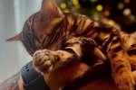 Надежда Ермакова: Пока нормально ладят...