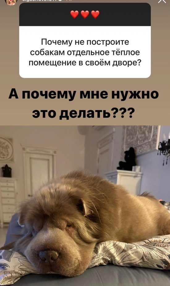 Ольга Орлова: Хожу как рождественская утка