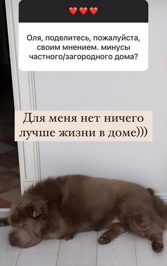 Ольга Орлова: Хожу как рождественская утка