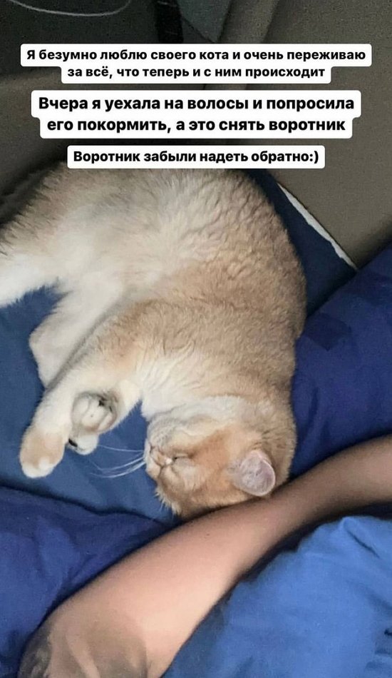 Милена Безбородова: У меня давно не было такой истерики!
