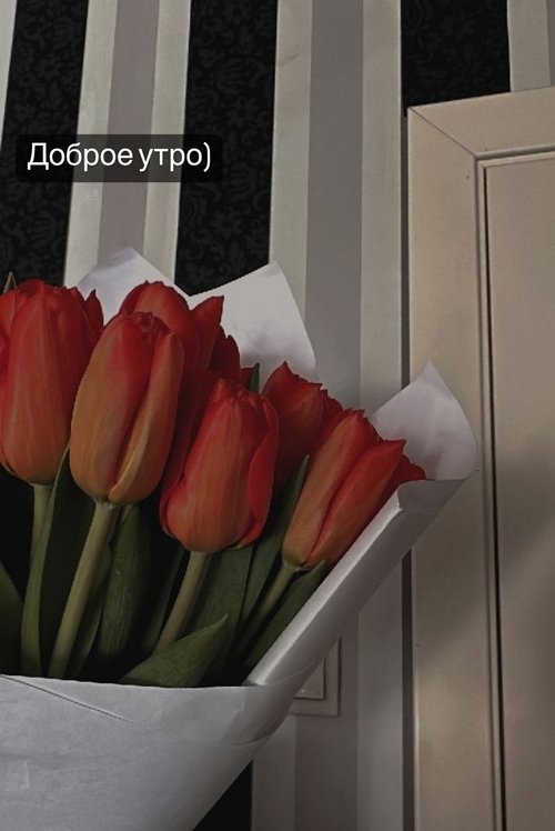 Алёна Опенченко: Как я ошибалась