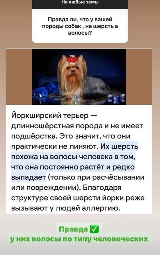 Анастасия Голд: Раньше в душе я переживала, но теперь осознала