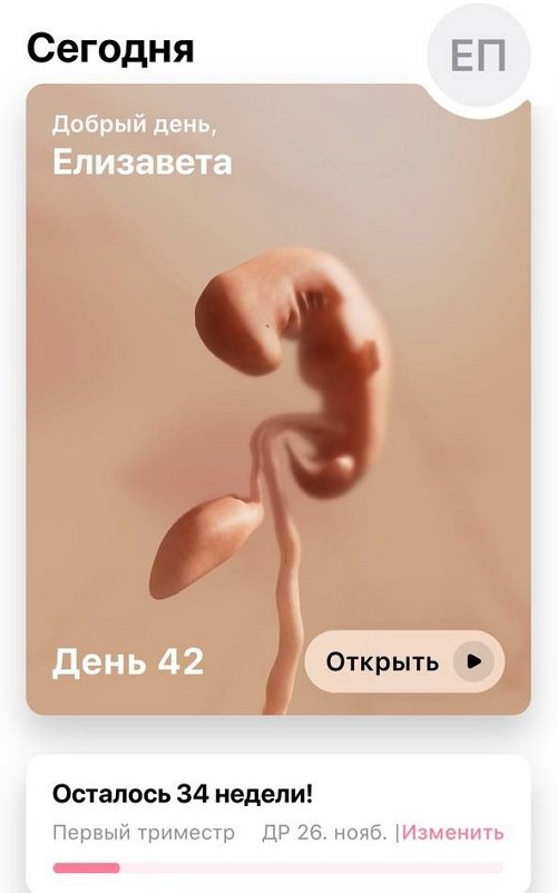 Елизавета Полыгалова: Илья принял решение Елизавета Полыгалова: Илья принял решение