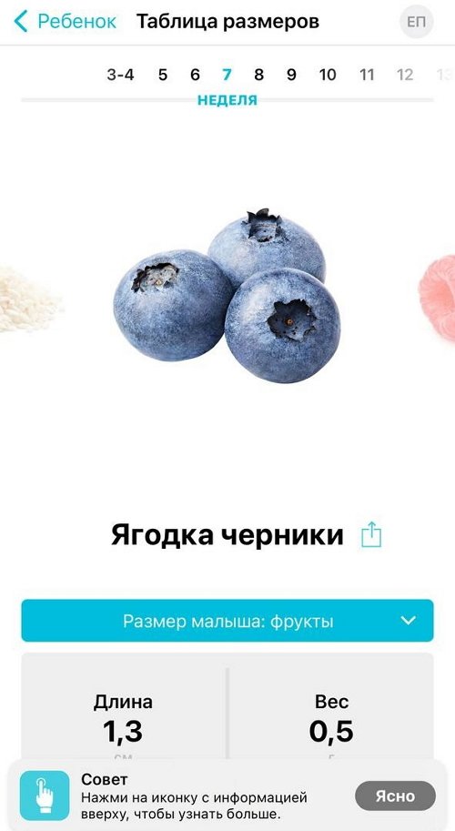 Елизавета Полыгалова: Илья принял решение Елизавета Полыгалова: Илья принял решение