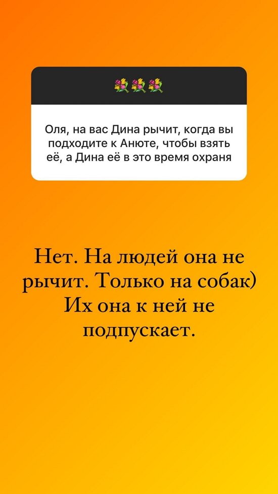 Ольга Орлова: Только любимое дело будет приносить удовольствие