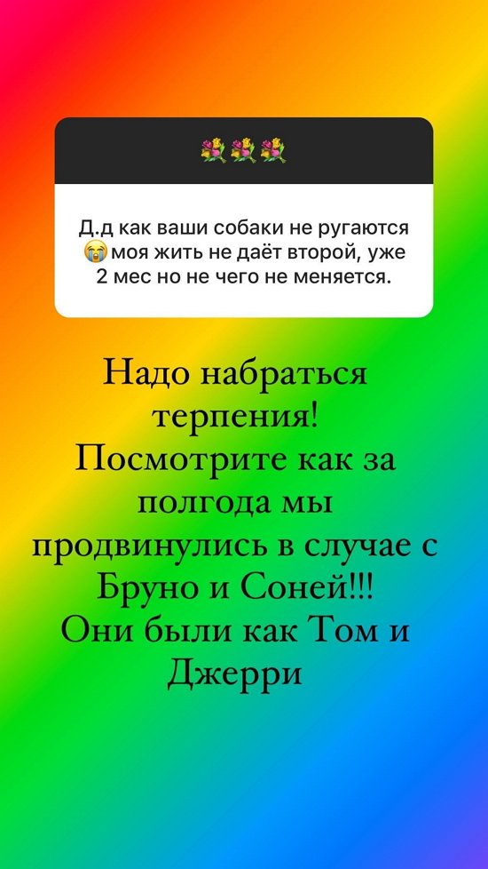 Ольга Орлова: Только любимое дело будет приносить удовольствие