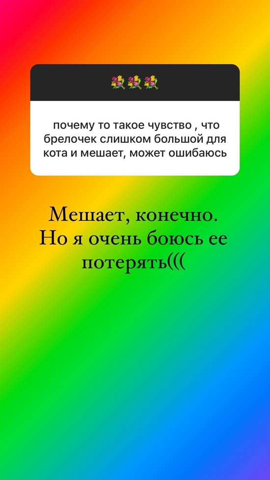 Ольга Орлова: Только любимое дело будет приносить удовольствие