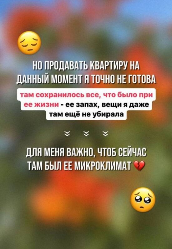 Ефременкова объяснила своё решение не продавать квартиру бабушки