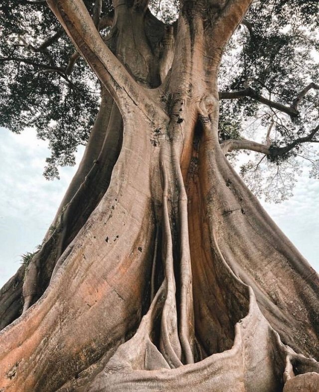 Анастасия Бигрина: Эти сложности делают жизнь интереснее