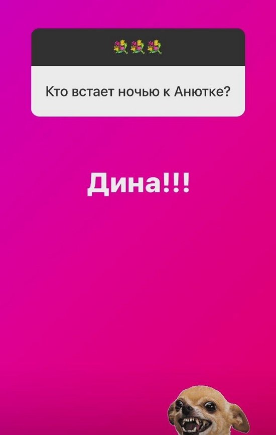 Ольга Орлова: Анюта - вылитый папа!