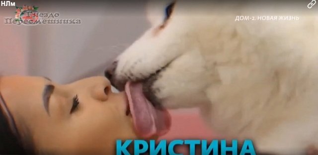 Зрительский обзор последних событий (17.04.2023) Зрительский обзор последних событий (17.04.2023)