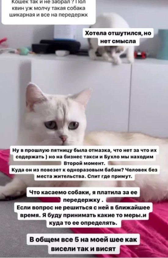 Колесников намерен продать квартиру, чтобы забрать своих животных у Стецевят